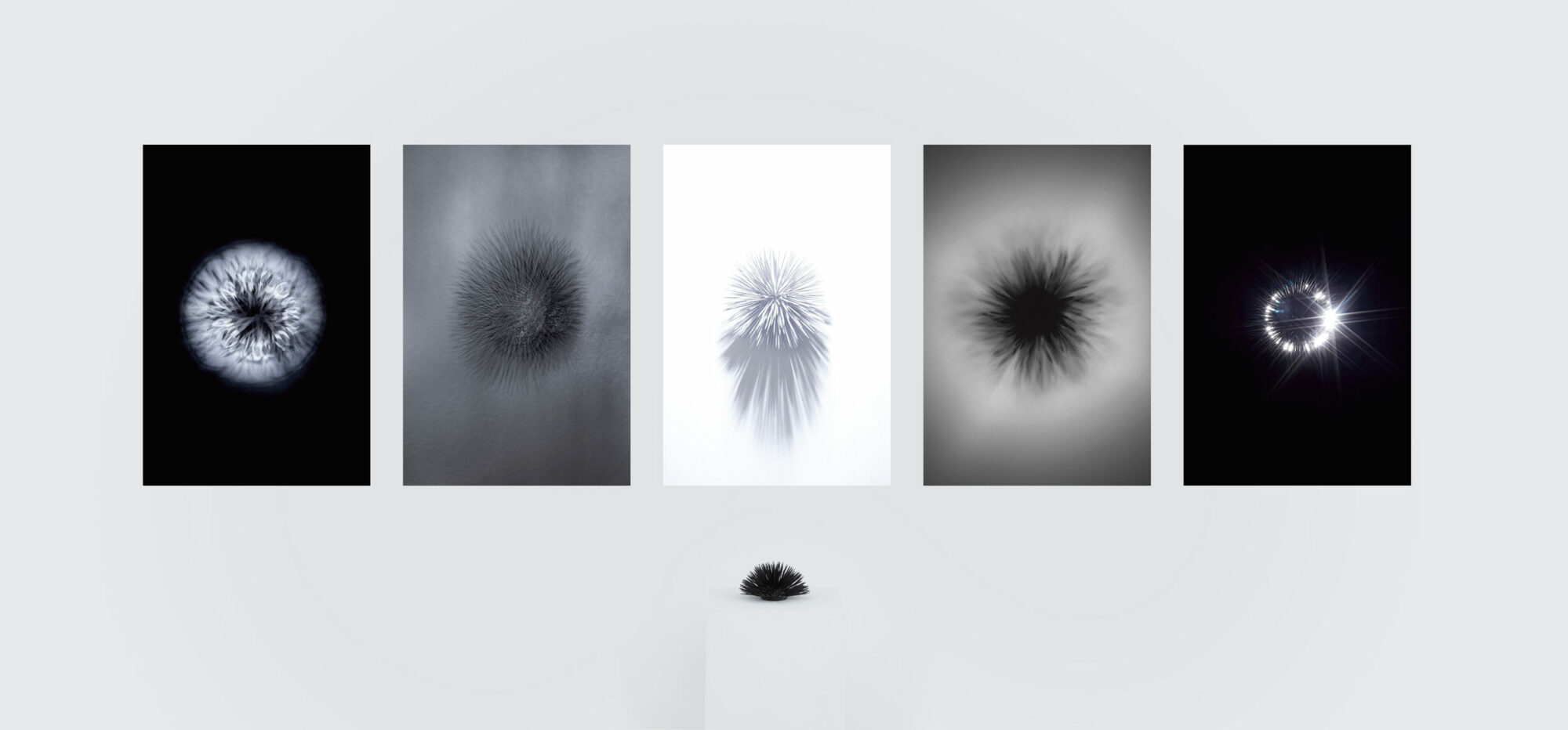 FAS2020_Thierry_du_Bois_visuel1